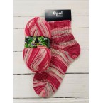 Opal Rainforest 16 Sock Yarn 